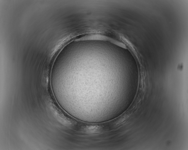 X0000116310059200912141408