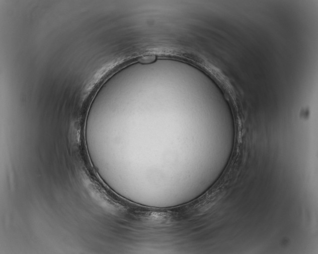 X0000116310060200912141408