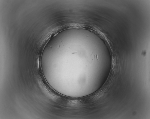 X0000116310061200912141408