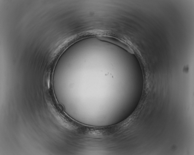 X0000116310062200912141408