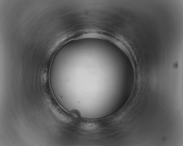 X0000116310063200912141408