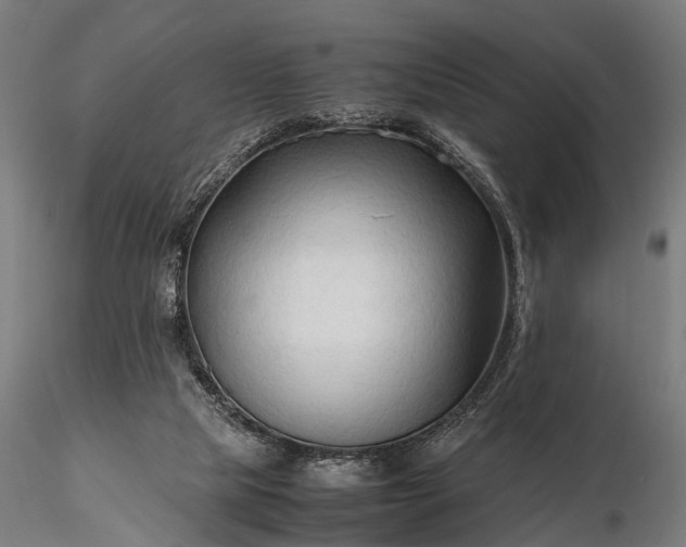 X0000116310065200912141408