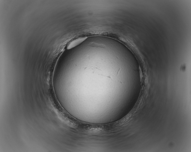 X0000116310066200912141408