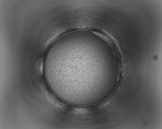 X0000116310067200912141408