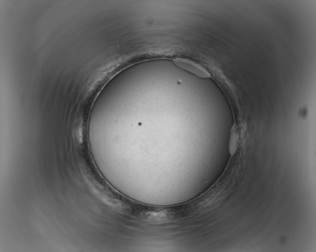 X0000116310068200912141408