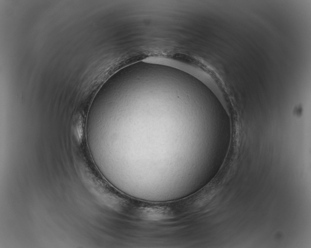 X0000116310069200912141408