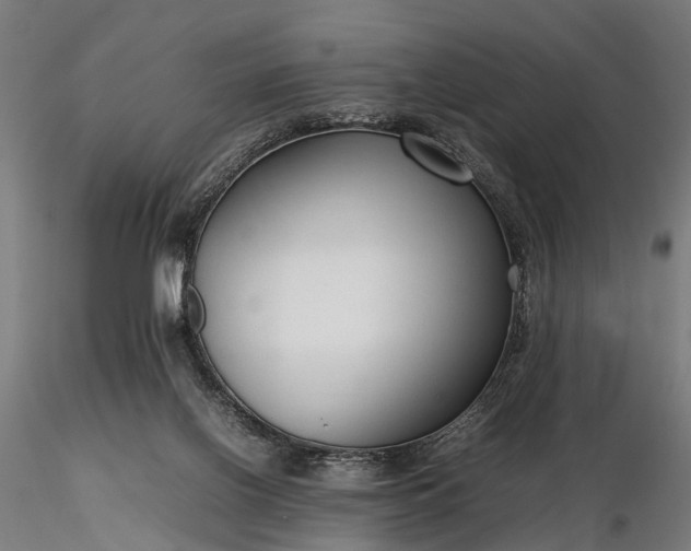 X0000116310070200912141408