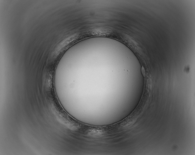 X0000116310071200912141409