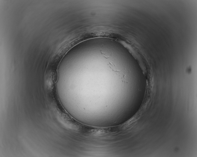 X0000116310074200912141409