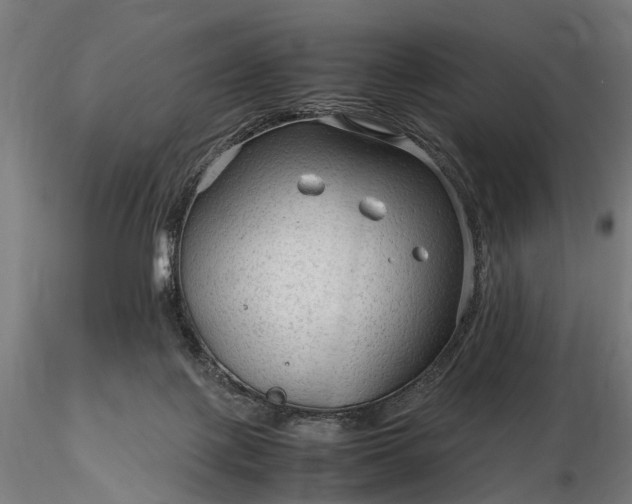 X0000116310075200912141409