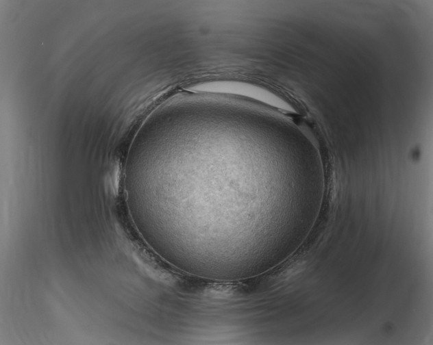 X0000116310076200912141409