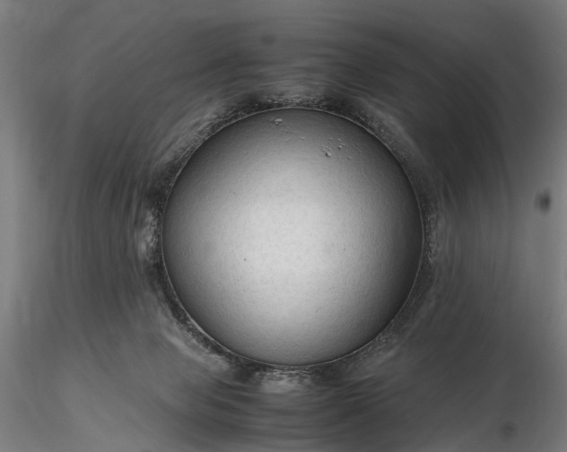 X0000116310077200912141409