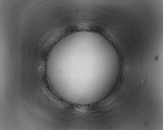 X0000116310079200912141409