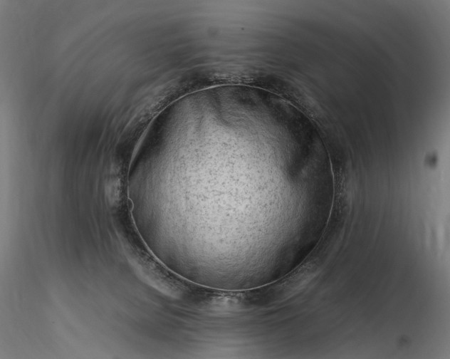 X0000116310080200912141409