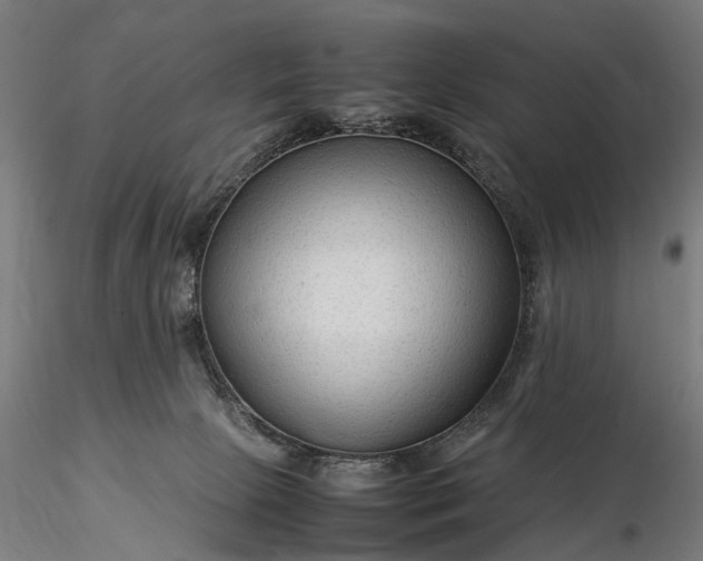 X0000116310081200912141409