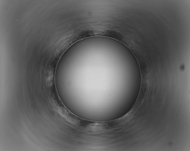 X0000116310082200912141409