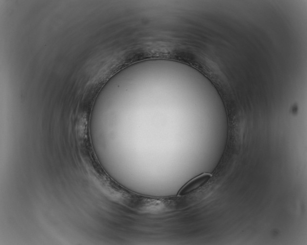 X0000116310083200912141409