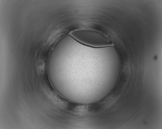 X0000116310084200912141409