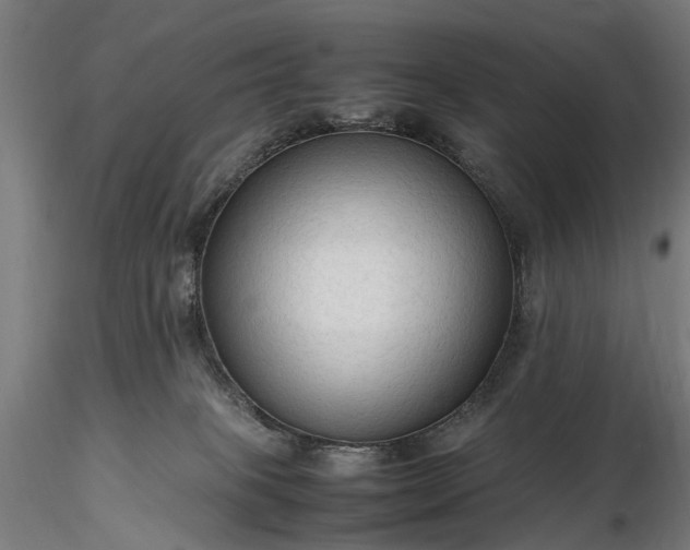 X0000116310085200912141409