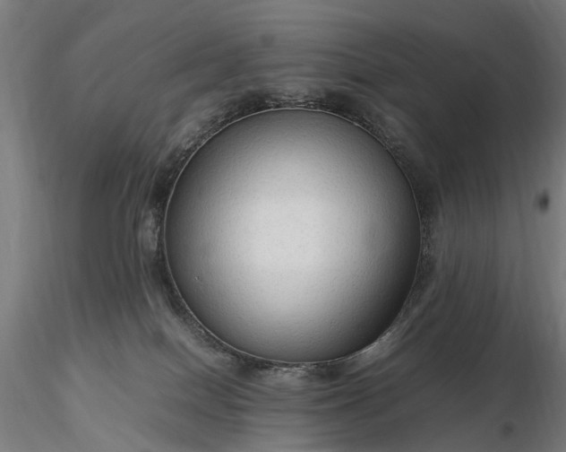 X0000116310086200912141409