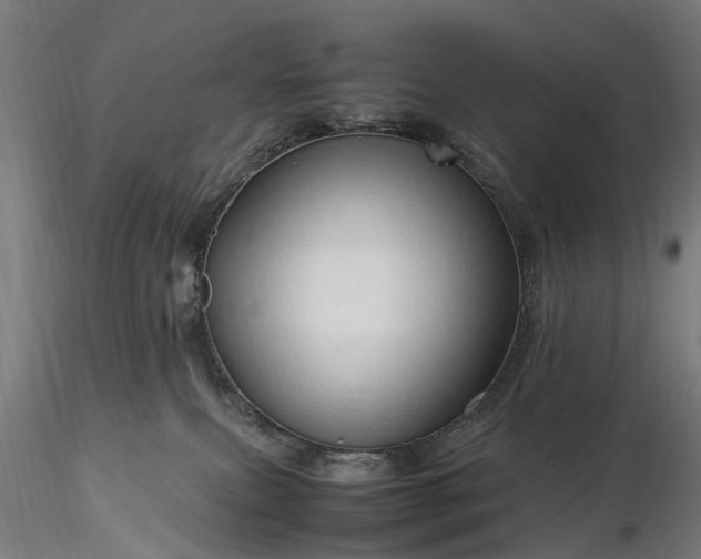 X0000116310087200912141409