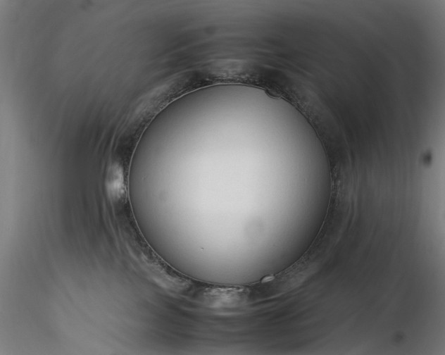 X0000116310089200912141409