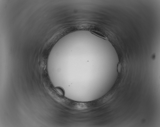 X0000116310091200912141409