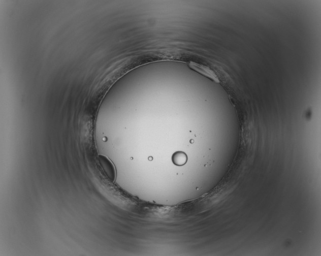 X0000116310092200912141409