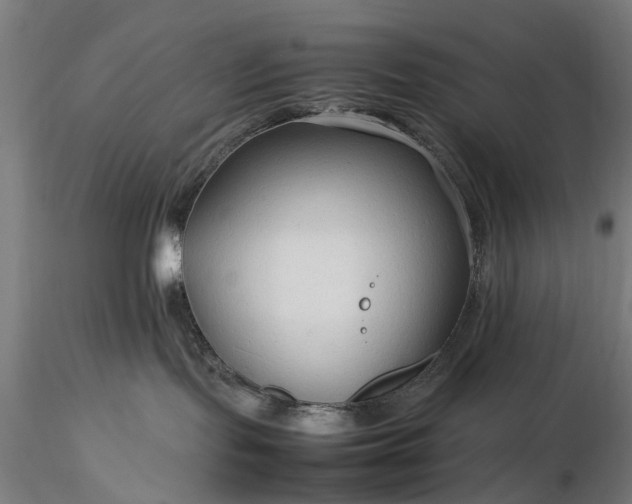 X0000116310095200912141409