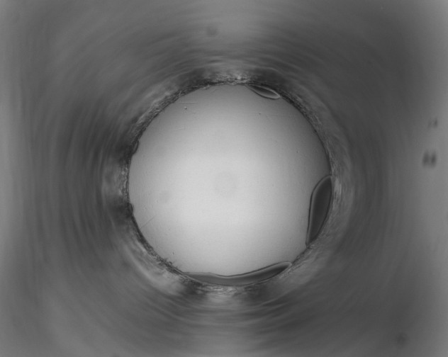 X0000116310096200912141409