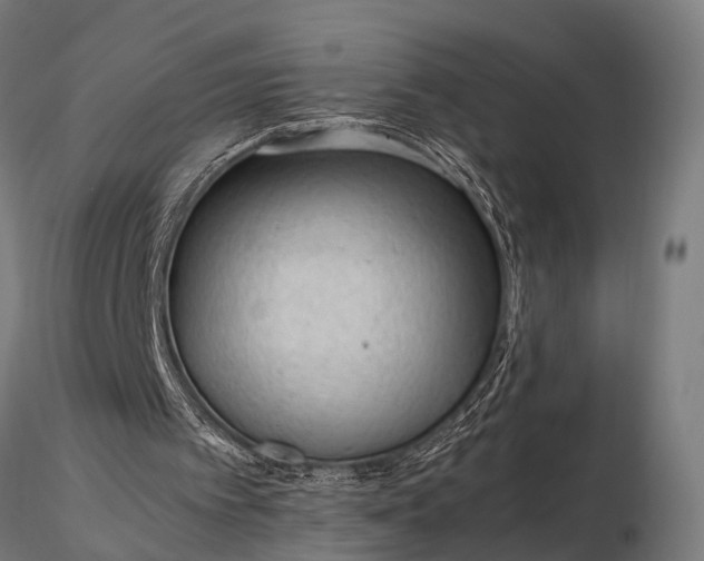 X0000116310097200912141408