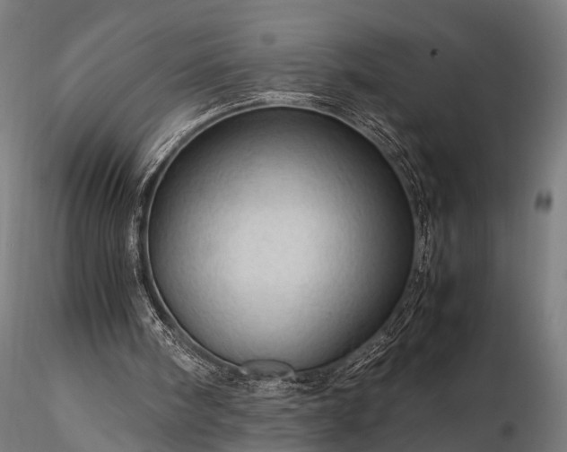 X0000116310098200912141408