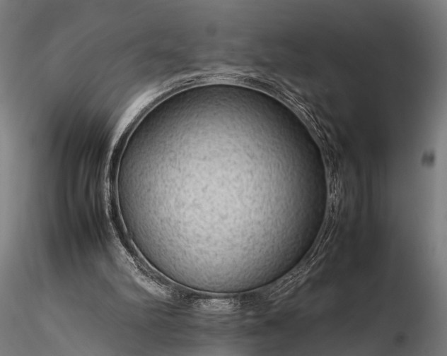 X0000116310102200912141408