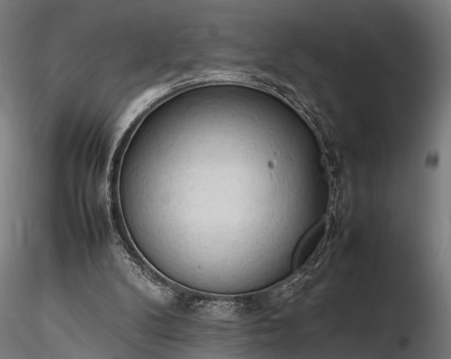 X0000116310104200912141408