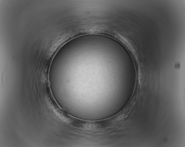 X0000116310105200912141408