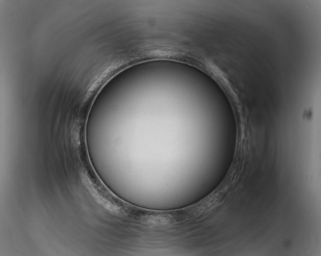 X0000116310106200912141408