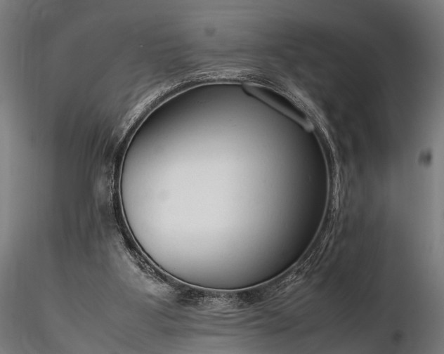 X0000116310107200912141408