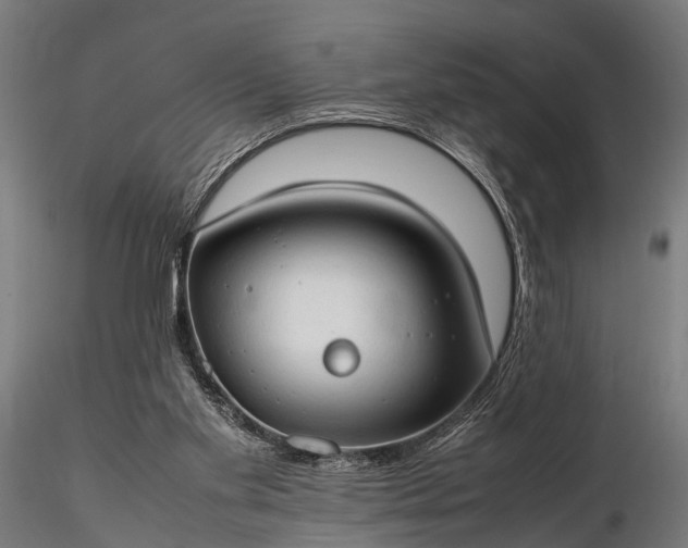 X0000116310109200912141408