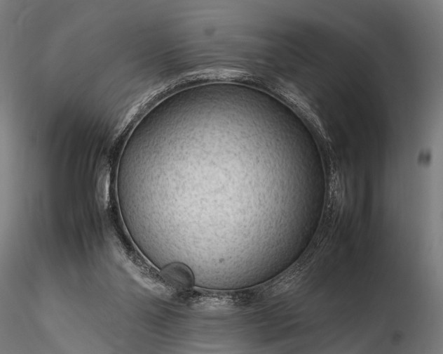 X0000116310110200912141408