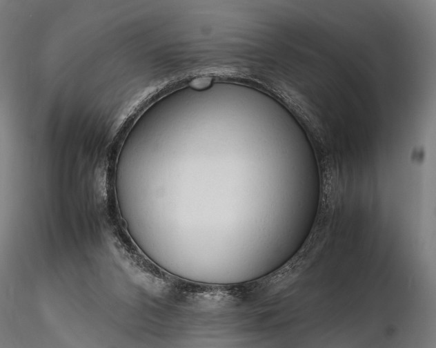 X0000116310112200912141408