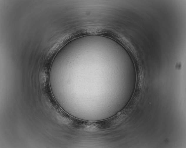 X0000116310113200912141408