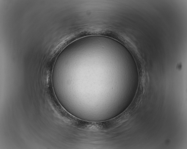 X0000116310115200912141408