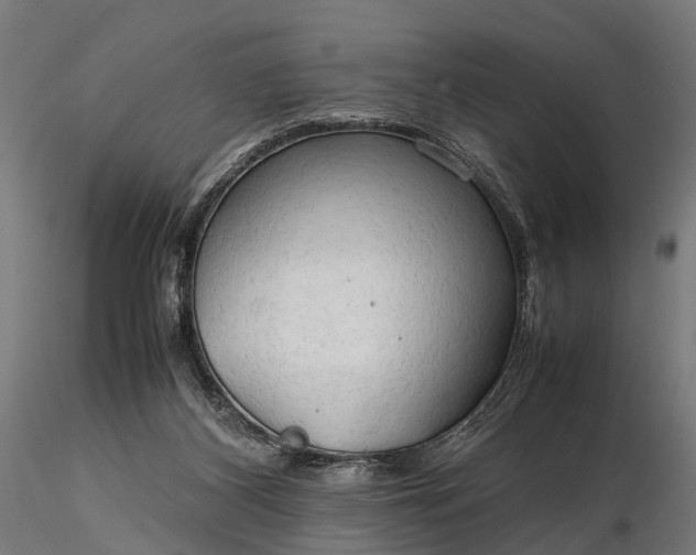 X0000116310116200912141408