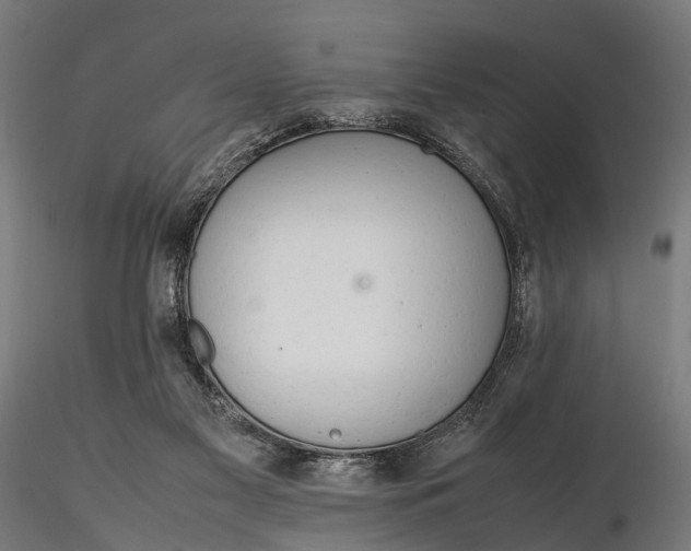 X0000116310117200912141408