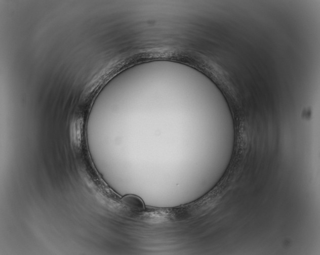 X0000116310118200912141408