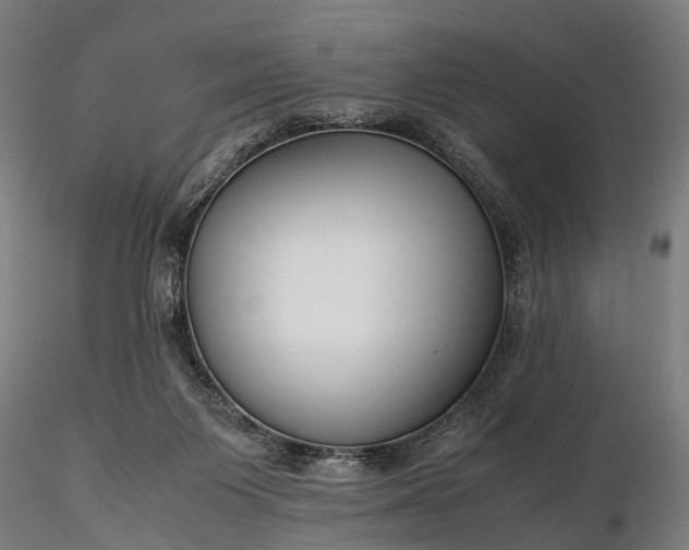 X0000116310119200912141408