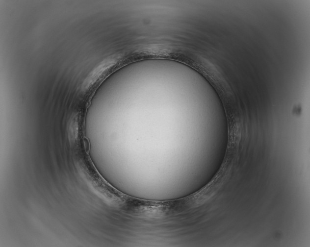 X0000116310120200912141408