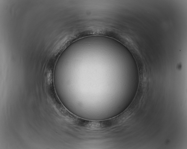 X0000116310123200912141408