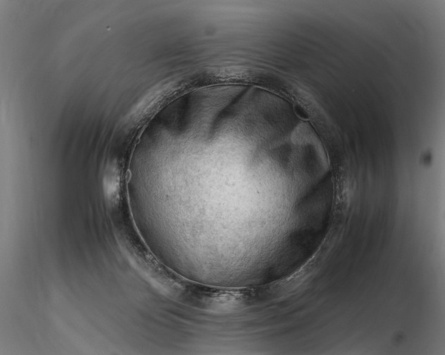 X0000116310124200912141408