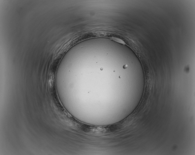 X0000116310125200912141408